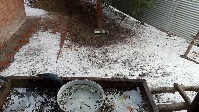 поставили воду,пьют с удовольствием смотреть онлайн