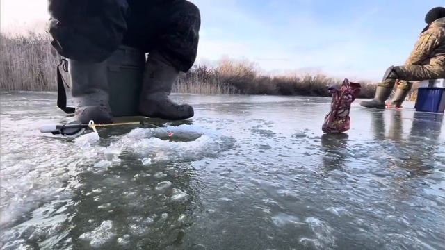 Первый лёд 2023-2024. Чуть не ушли под лед🥶 смотреть онлайн