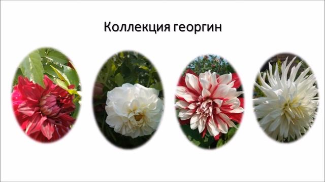 УОУ_Едогонская СОШ смотреть онлайн