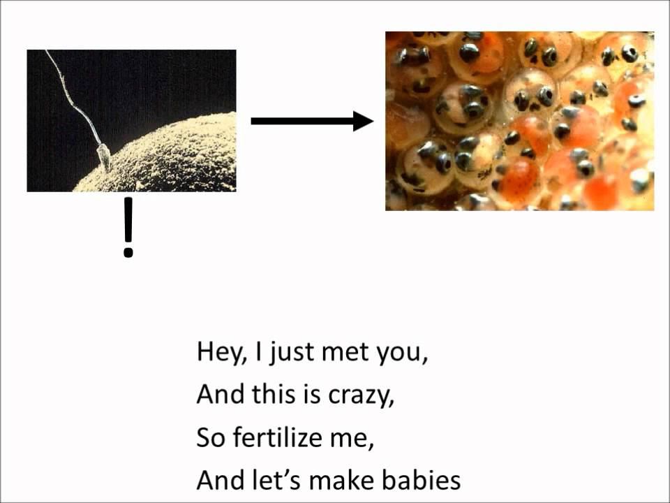 Fertilize Me Maybe смотреть онлайн
