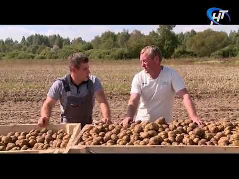 Проселки 20.10.2016 смотреть онлайн