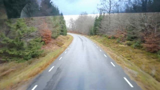 Срезаем по лесу! смотреть онлайн