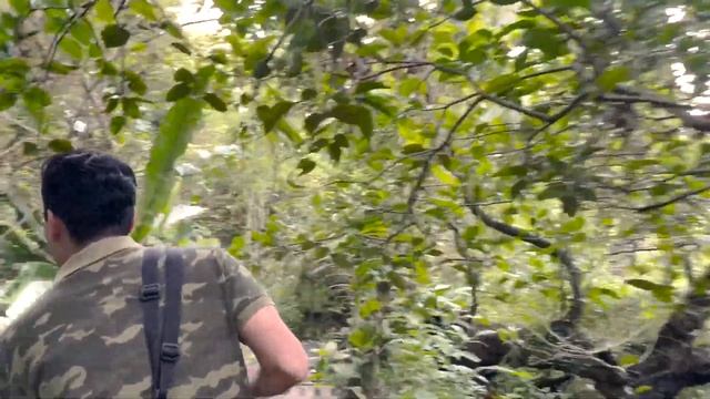 Conversation on a local food forest #3 – What flora and fauna we found in a food forest? смотреть онлайн