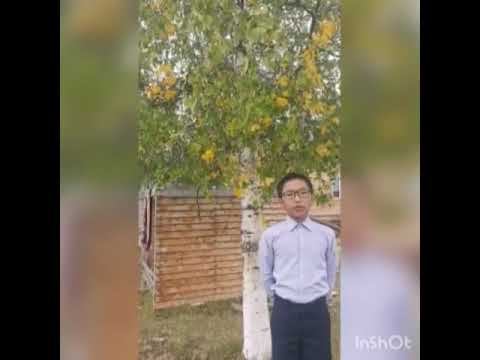 №12 Березкин Радомир, смотреть онлайн