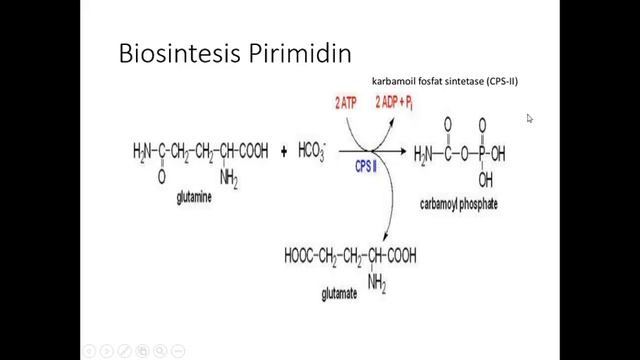 Metabolisme Nukleotida смотреть онлайн