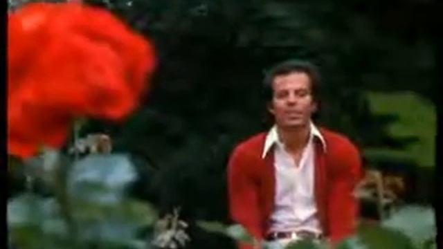 Julio Iglesias   El Amor