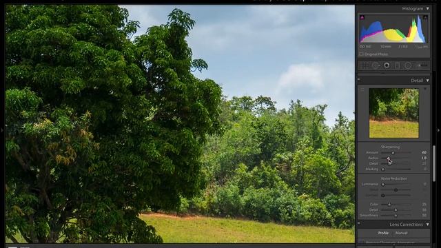 The Fix 16: Lone Tree in Vinales смотреть онлайн