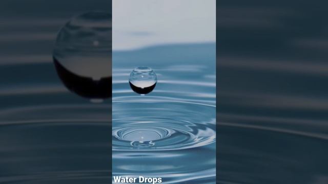 Water Drops Sound смотреть онлайн