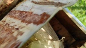 маточка от Сергея Лукинцова