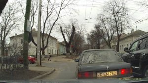 Слепошарые
