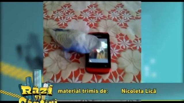Un papagal egoist смотреть онлайн
