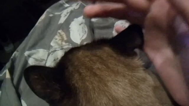 Мир вокруг нас