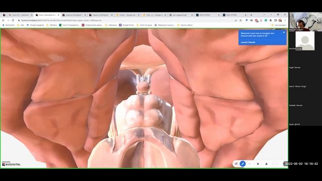 MidBraine for group 10 смотреть онлайн