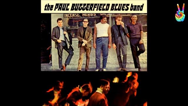 Paul Butterfield Blues Band - 08 - Our Love Is Drifting (by EarpJohn) смотреть онлайн