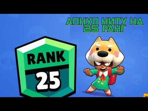 АПНУЛ НИТУ НА 25 РАНГ | РЕШАЮЩАЯ КАТКА | brawl stars смотреть онлайн