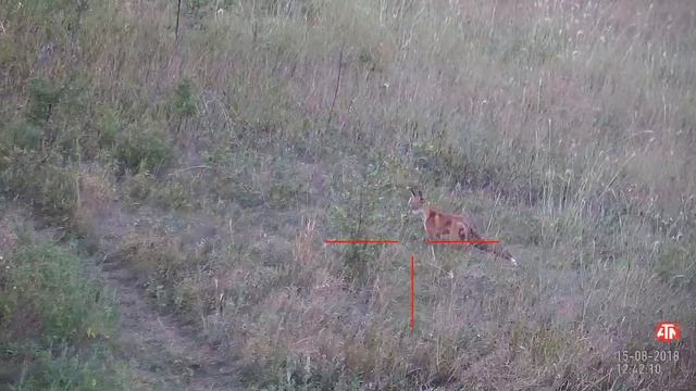 ATNX0004 смотреть онлайн