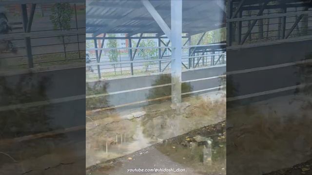 По образу и подобию это как? смотреть онлайн