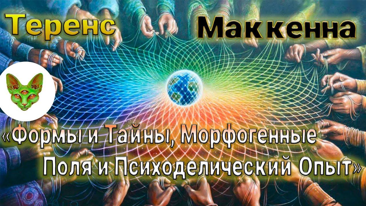 Теренс МакКенна // Формы и Тайны, Морфогенные Поля и Психоделический Опыт смотреть онлайн