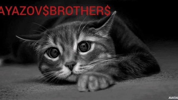 GAYAZOV$BROTHER$ Не ради радио l  OFFICIAL AUDIO ВАНЯ_СКУЛ($£