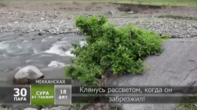Тəкуир сүресі смотреть онлайн