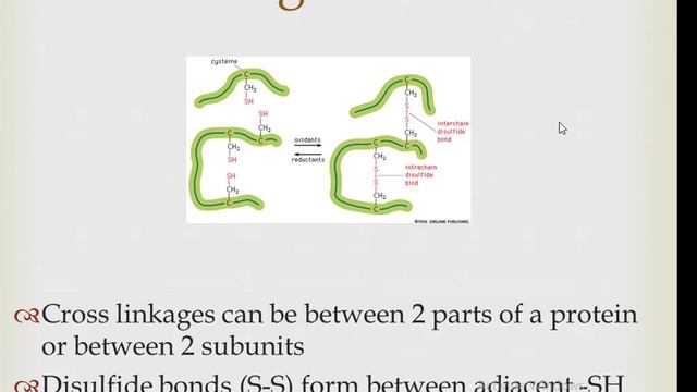 protein structure and function смотреть онлайн