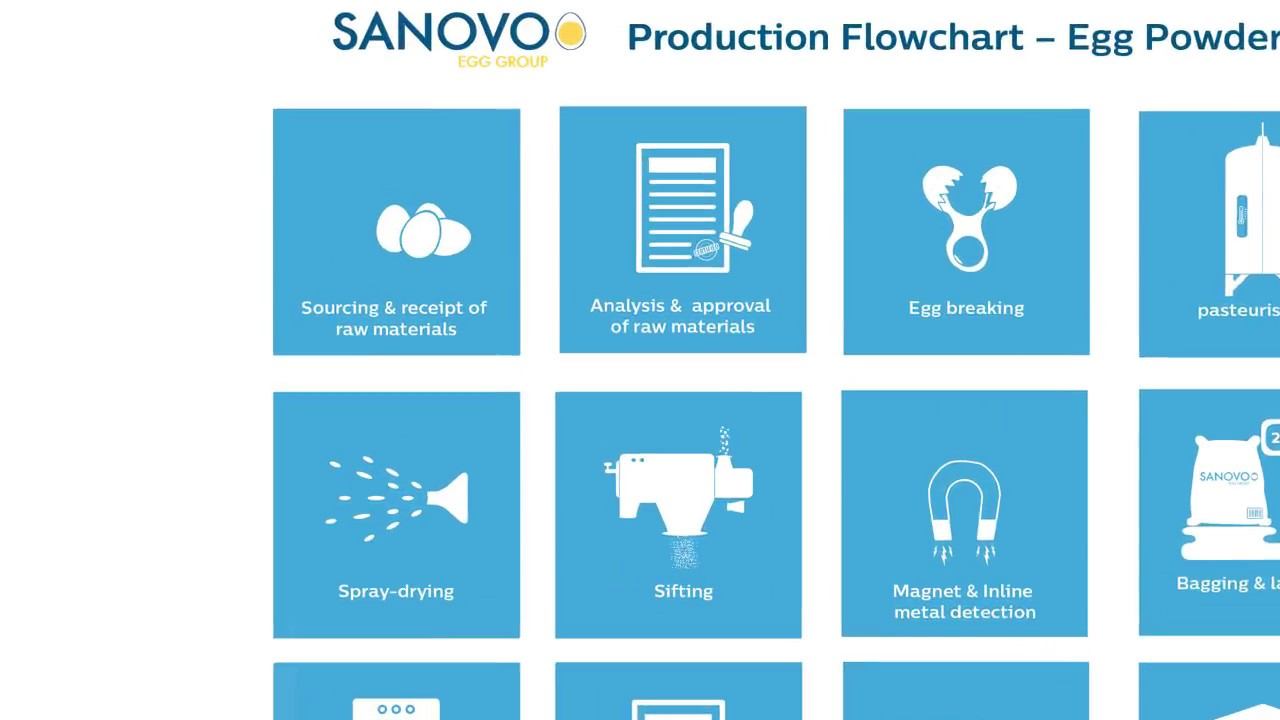 OVODAN (former SANOVO EGG GROUP) flowchart egg powder production смотреть онлайн