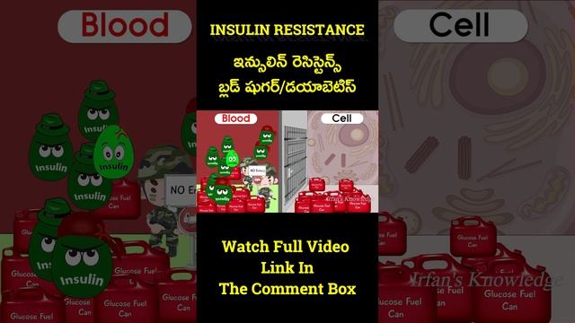 What Is Carbohydrates Insulin Resistance ? @IrfansKnowledge смотреть онлайн