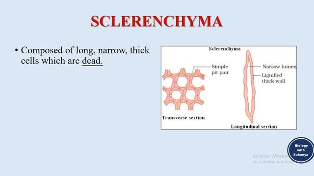 Plant Tissue In 10 Minutes! Types Of Plant Tissue | With Questions | Sukanya Good Vibes