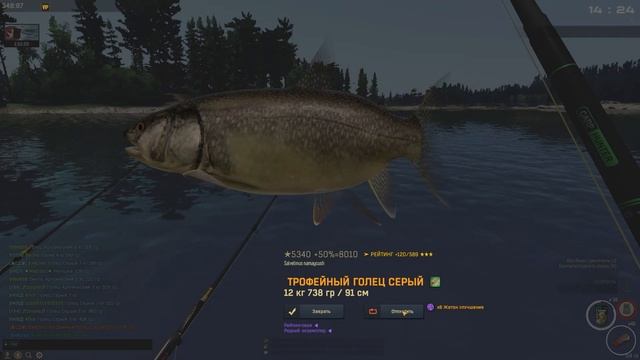 Fisher online|л. Финляндия| Голец Серый смотреть онлайн