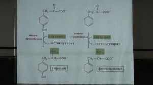 Асеев В. В. - Биохимия - 9. Синтез аминокислот и азотистых оснований