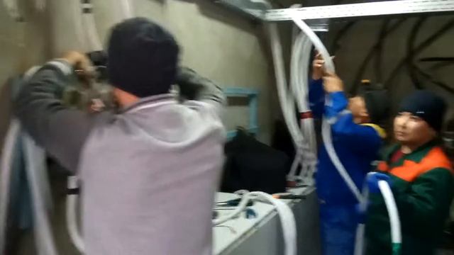 Новый заказ в Шымкенте. смотреть онлайн