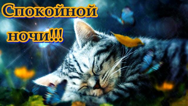 КРАСИВЫЕ ПЕСНИ ОБО ВСЁМ...СПОКОЙНОЙ НОЧИ! смотреть онлайн