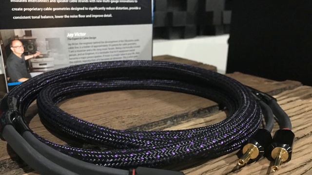 Tributaries Series 6 Speaker Cable | My Thoughts