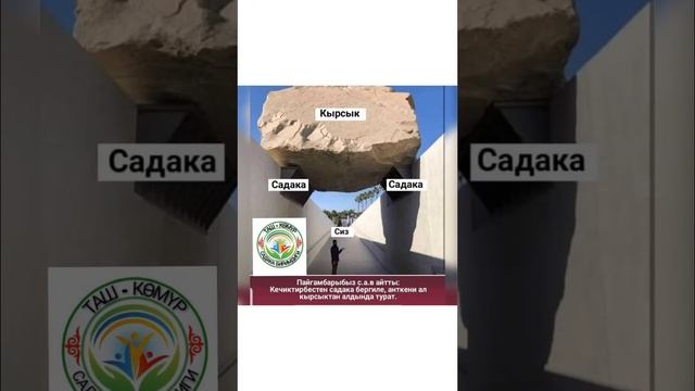 Т С Б собранная сумма за март 2022 г. смотреть онлайн