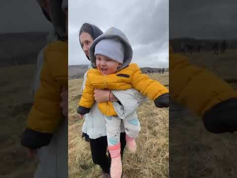 Посадка сада СЧАСТЬЕ. Саженцами кедра написали два слова СЧАСТЬЕ и ЛЮБОВЬ смотреть онлайн