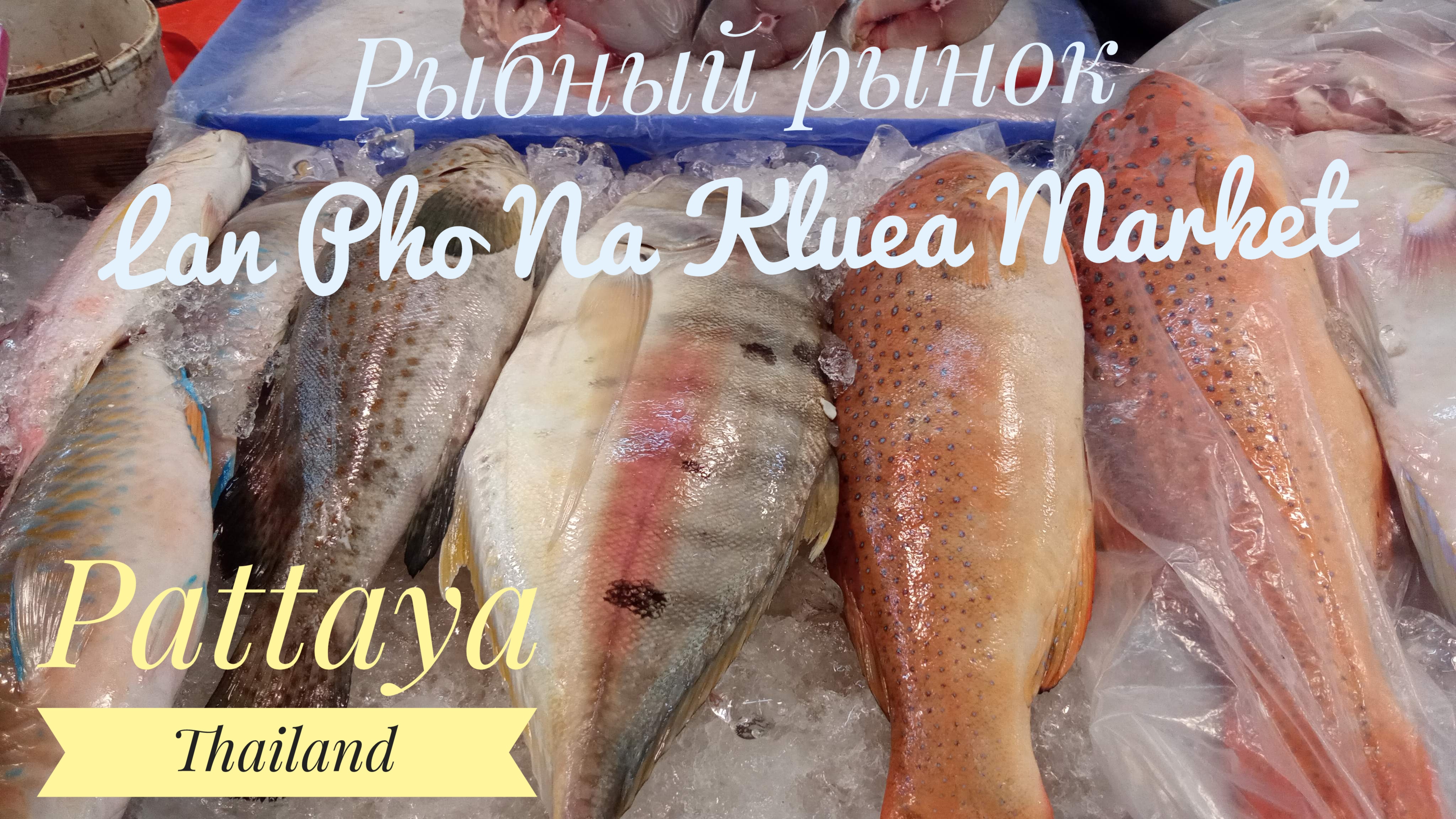 Pattaya Thailand Рыбный рынок Lan Pho Na Kluea Market