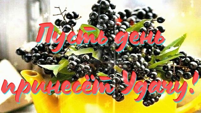 КРАСИВЫЕ ПЕСНИ ОБО ВСЁМ...Пусть день принесет Удачу!! смотреть онлайн