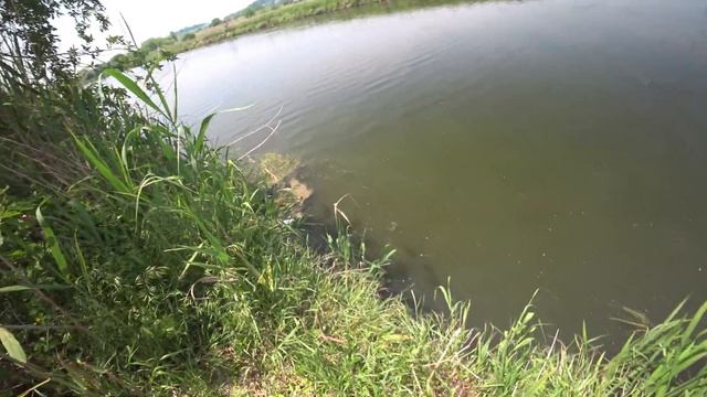 Охота с Рогаткой SLINGSHOT FISHING