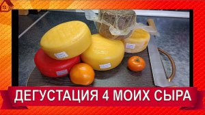 ДЕГУСТАЦИЯ Режу 4 сыра: пармезан, гауда, степной, французский пареный в афинаже