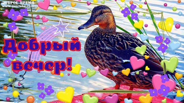КРАСИВЫЕ ПЕСНИ ОБО ВСЁМ...ДОБРЫЙ ВЕЧЕР! смотреть онлайн