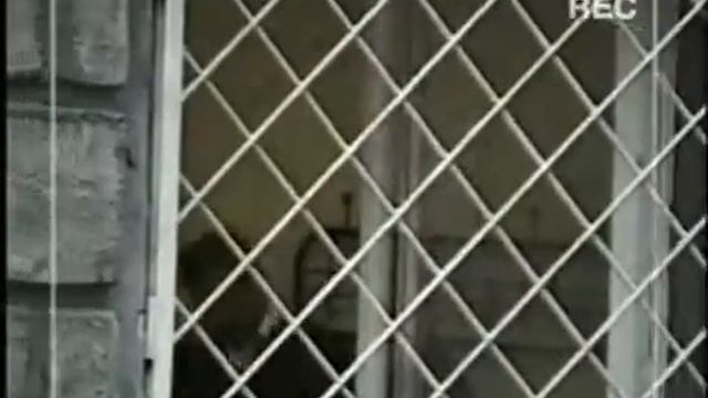 Криминальная Россия Ошибка киллера webm 640x360 смотреть онлайн