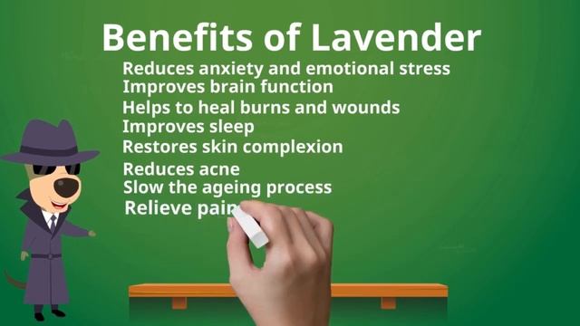 The Benefits of Lavender Essential Oil смотреть онлайн