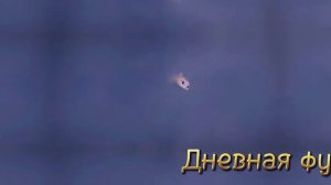 Беззубик и дневная фурия клип- Обними не отпускай я твой ангел, ты мой рай