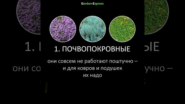 Банк растений для будущего сада смотреть онлайн