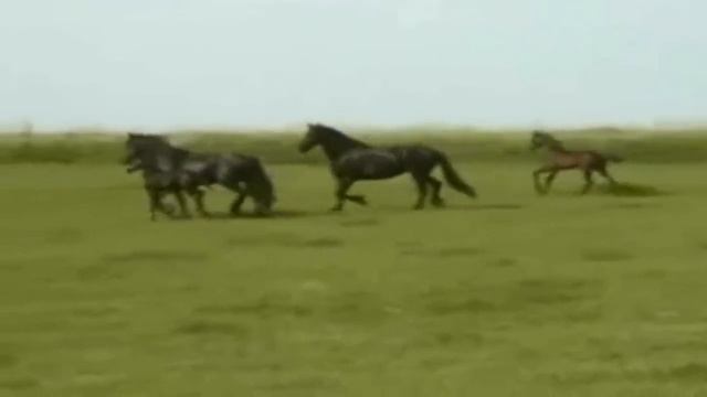 Broken Dreams.wmv смотреть онлайн