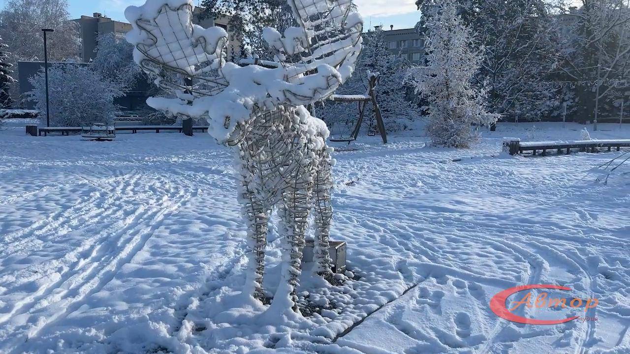 Телепередача «Лестница» №325. Эфир 28 ноября 2024 года ТРК «Заречный» смотреть онлайн