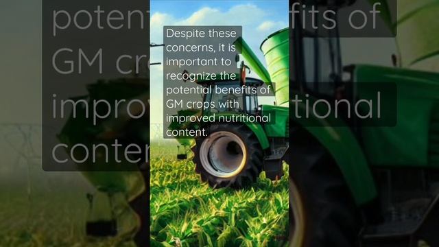 Concerns about environmental impacts of GMO crops смотреть онлайн
