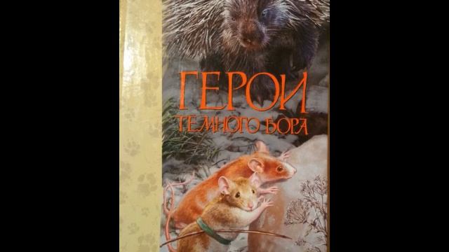 Эйви. Герои Темного Бора: День рождения Эрета. Глава 15. Avi, Dimwood Forest: Ereth's Birthday, 200 смотреть онлайн