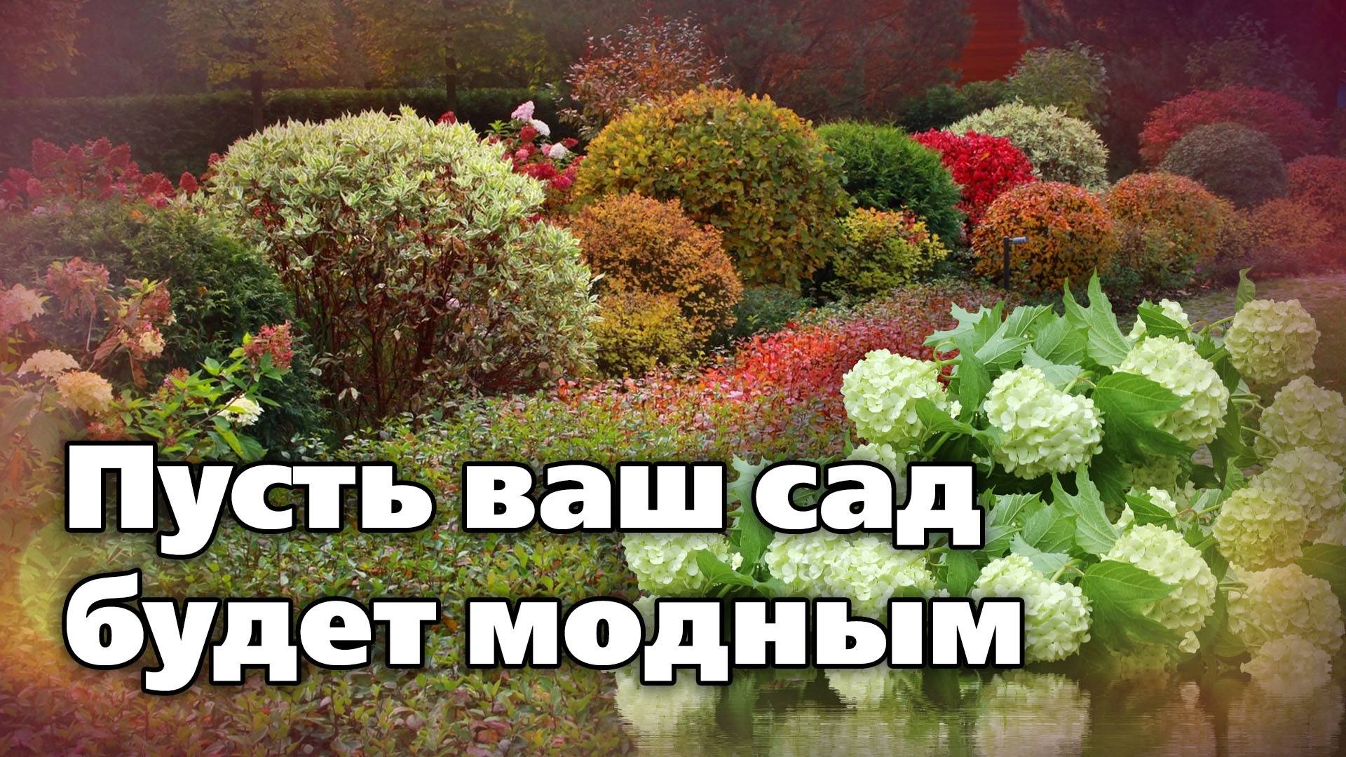 Фитопластика. Модный прием в ландшафтном дизайне смотреть онлайн