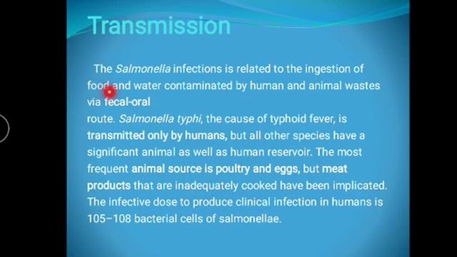 lec.1||genus: salmonella || Dr.Eman смотреть онлайн